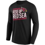 Arizona Cardinals Facemask Iconic Hometown Graphic Long Sleeve T-Shirt - Mens