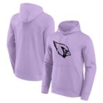 Arizona Cardinals Mono Logo Graphic Hoodie - Mens