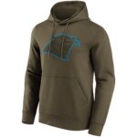 Carolina Panthers Khaki Colour Pop Graphic Hoodie - Mens
