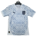 2025-26 Portugal Special Edition Soccer jersey Fan edition