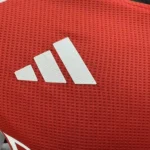 Arsenal Home Long Sleeve Jersey Player Version 2024-25