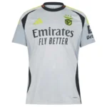 2024-25 Benfica Third Jersey
